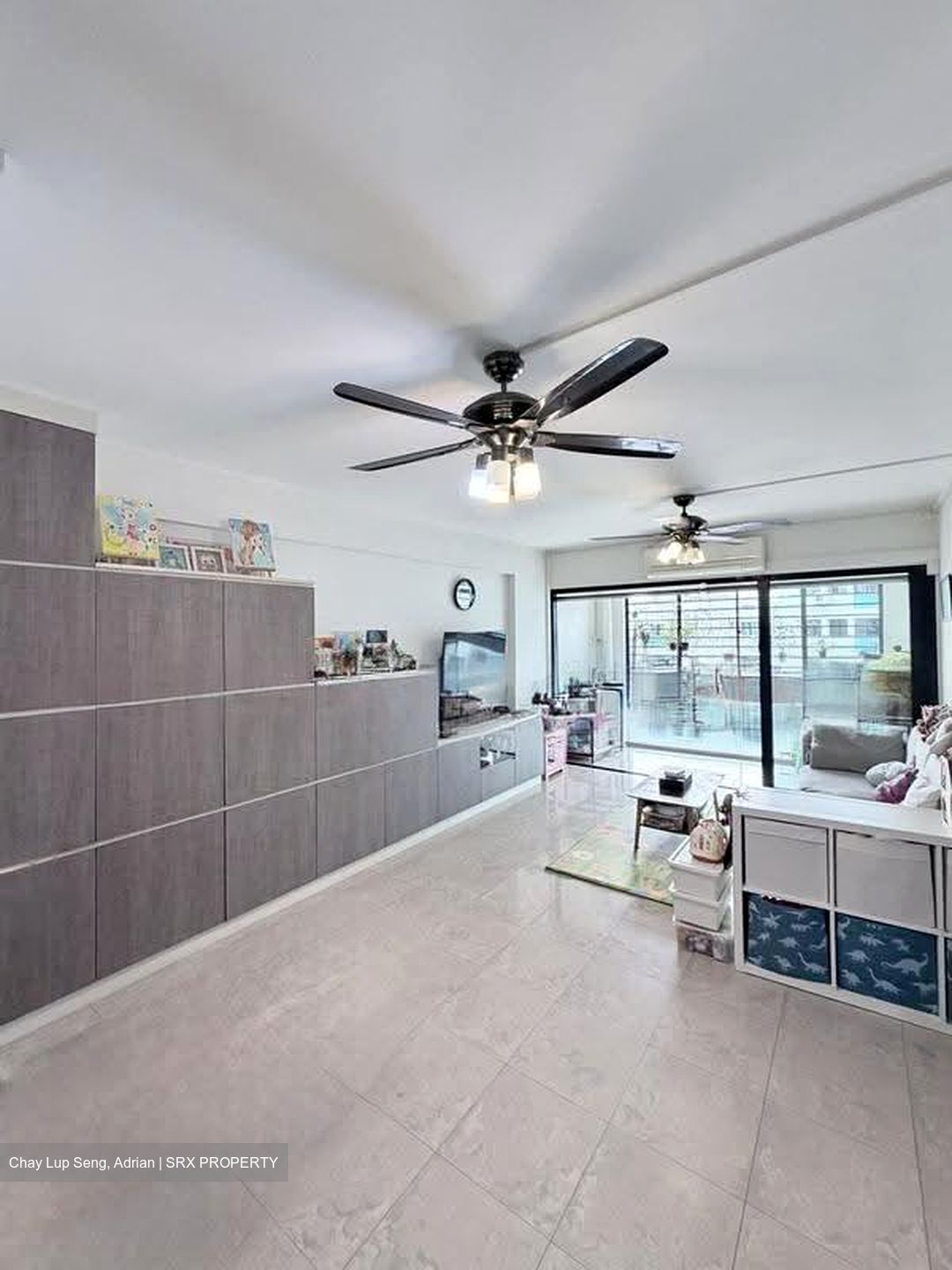 Blk 542 Panshan Grove (Bukit Panjang), HDB Executive #627491231